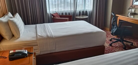 芝普特饭店主图