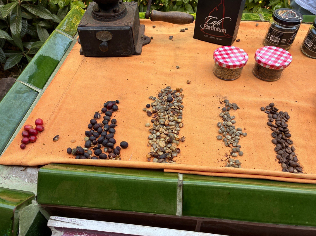 Cafe Platinium-Agaete必去景点