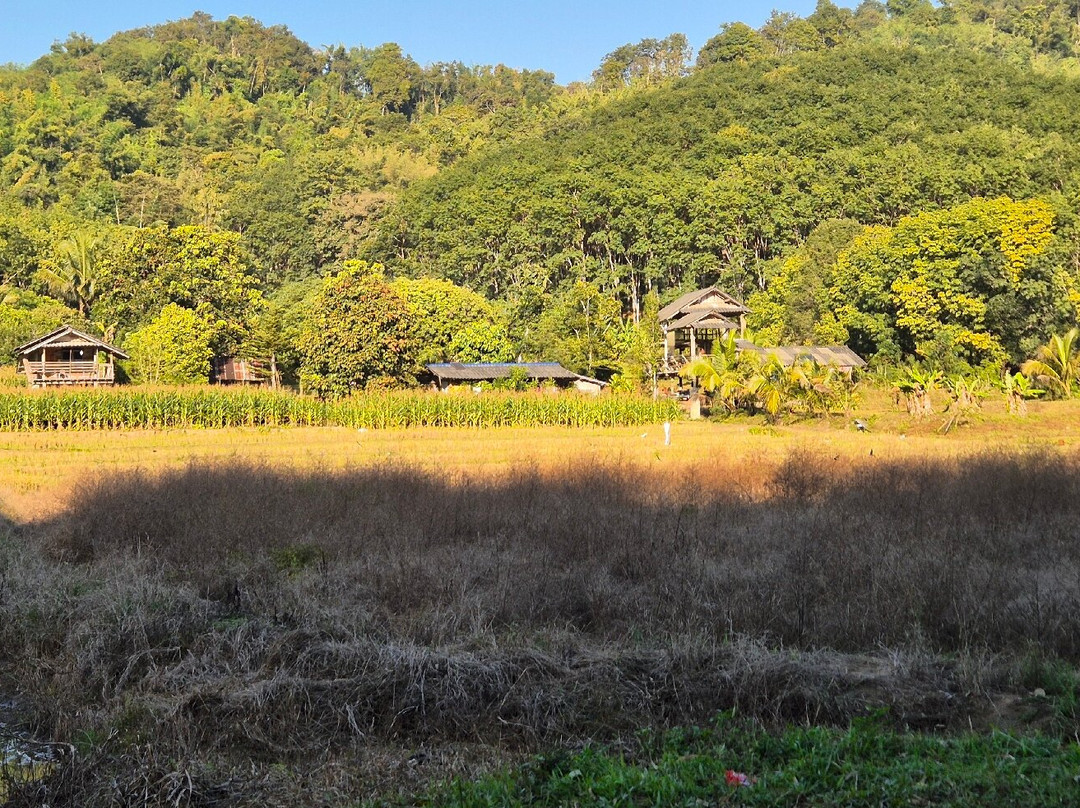 Bamboo Tours-清莱必去景点