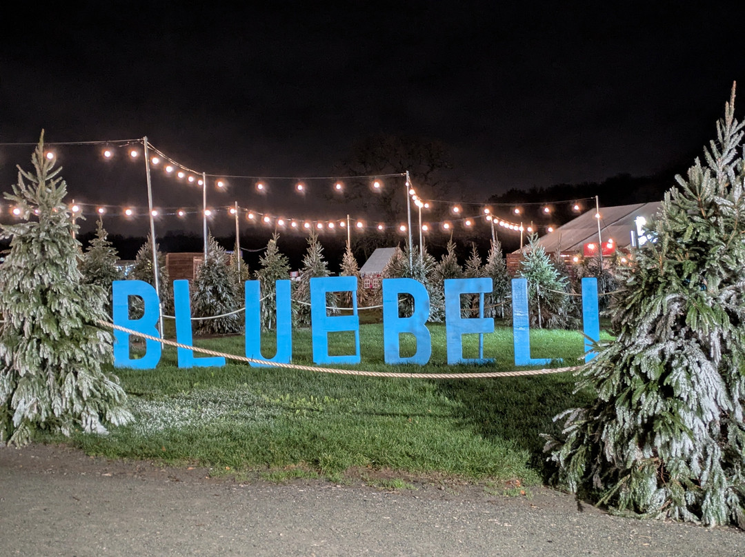 Bluebell Dairy Farm-德比必去景点