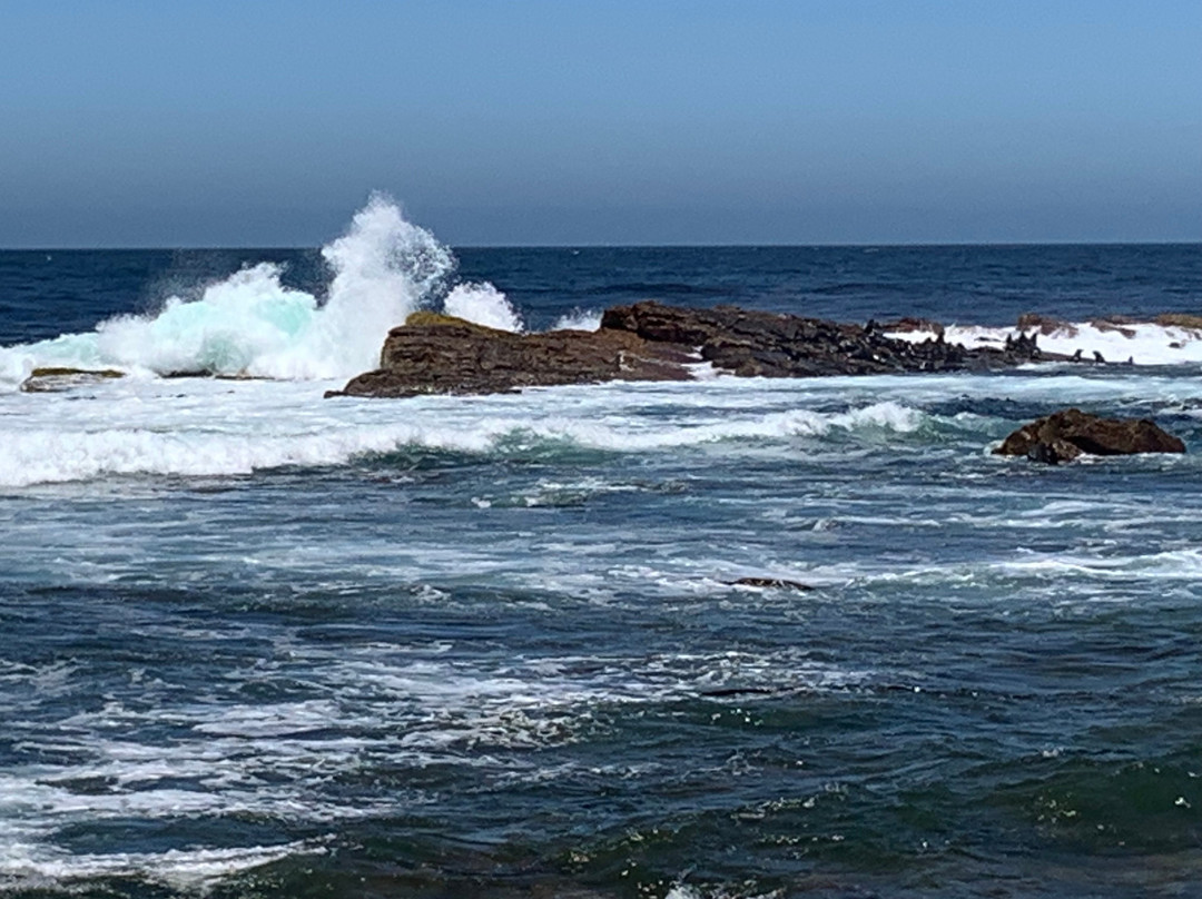 Explore the Cape Tours & Safaris-开普敦中心区必去景点