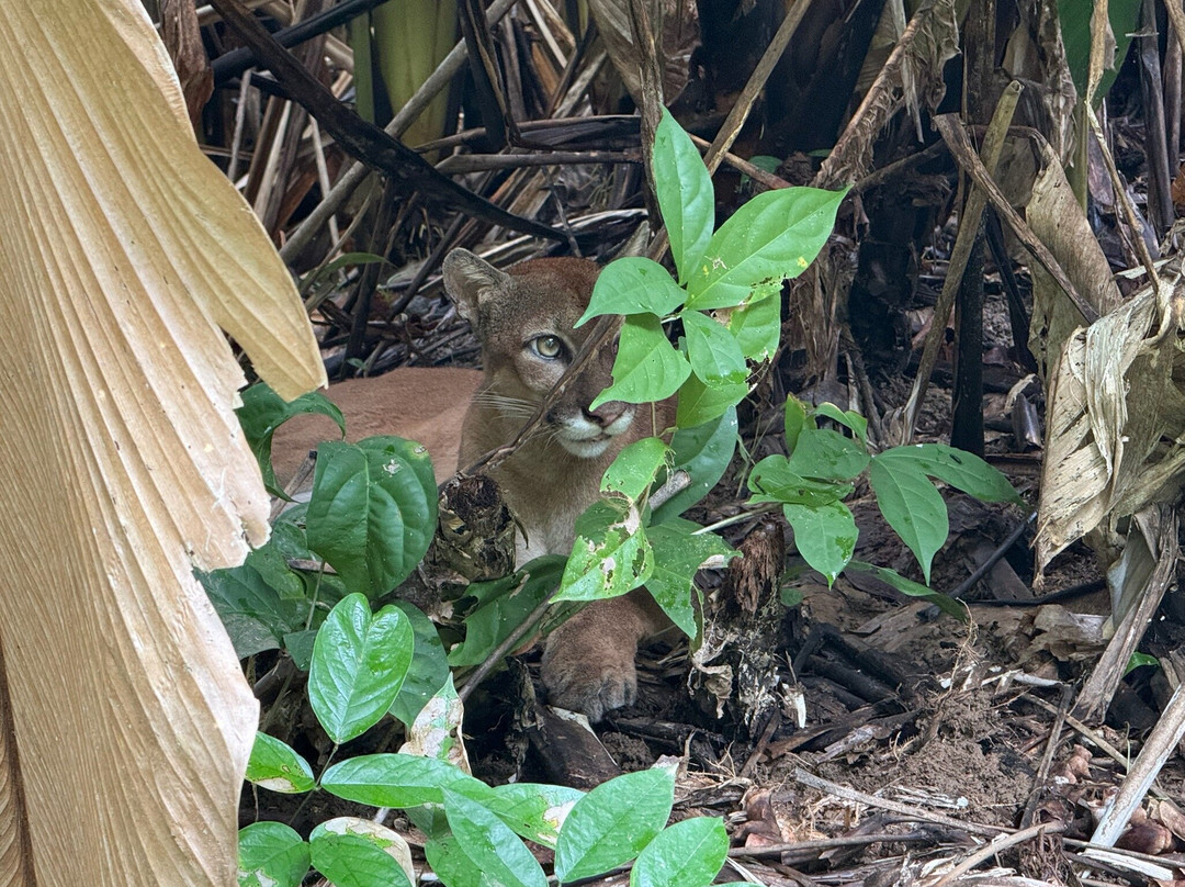 Costa Rica Focus-圣何塞必去景点