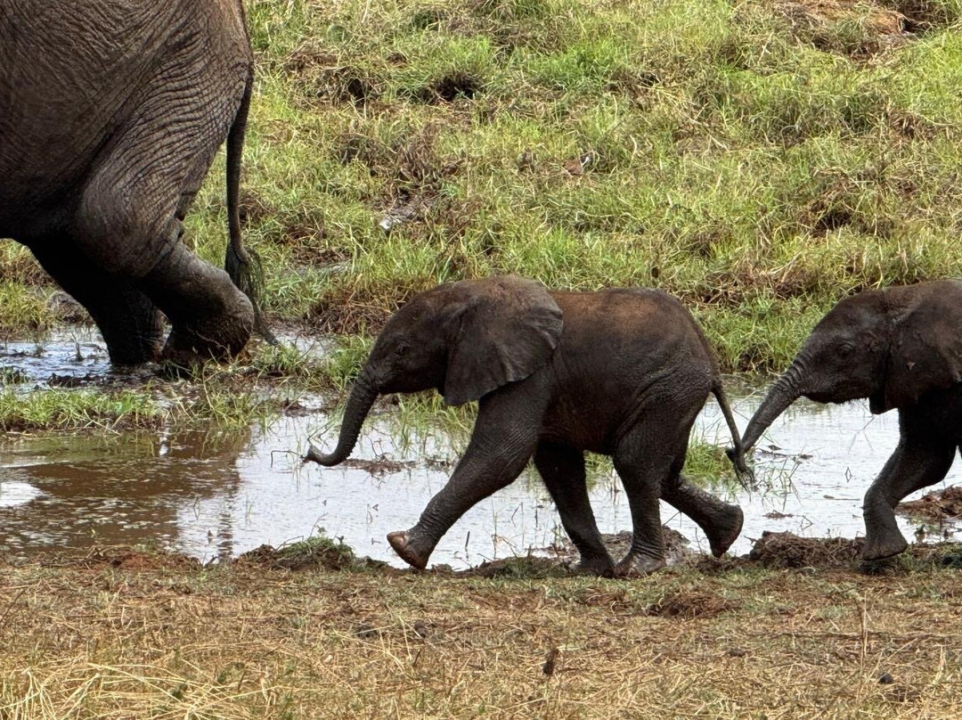 Altezza Travel-莫西必去景点