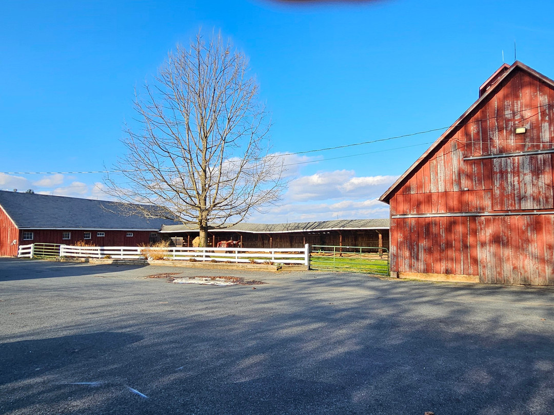 Swan Harbor Farm-Havre de Grace必去景点