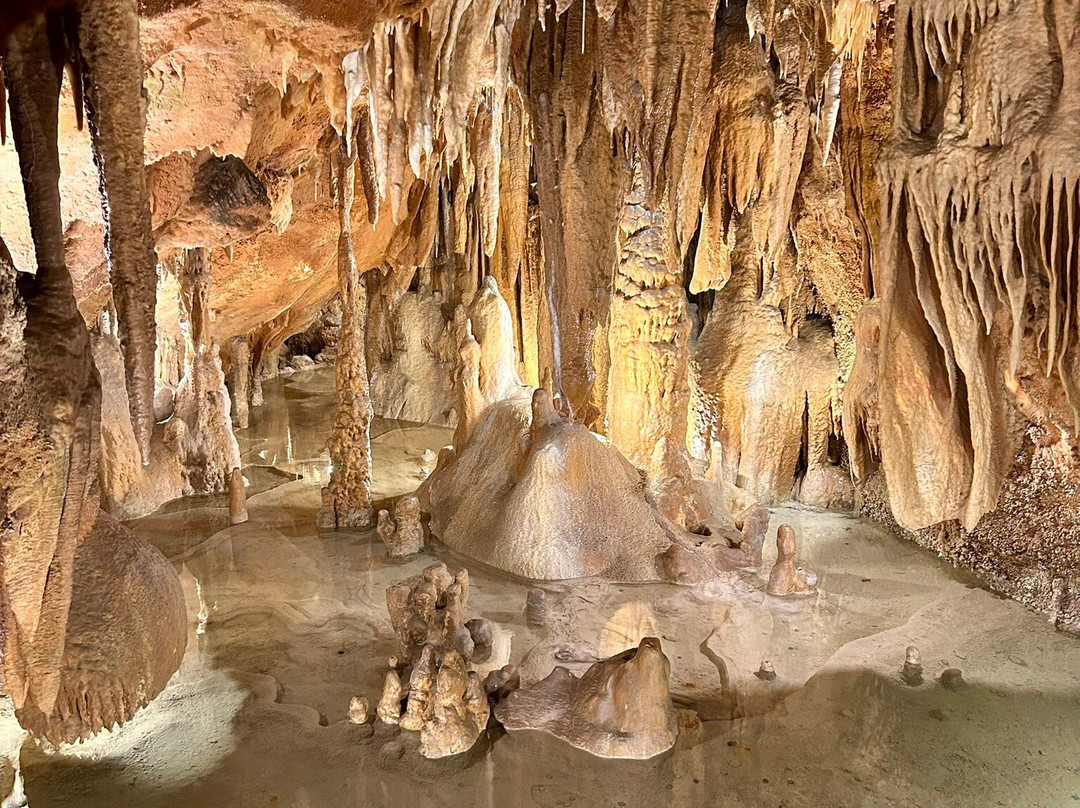 Grutas de Alvados-Alvados必去景点