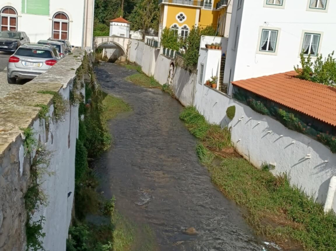 Rio Alcoa-Evora de Alcobaça必去景点