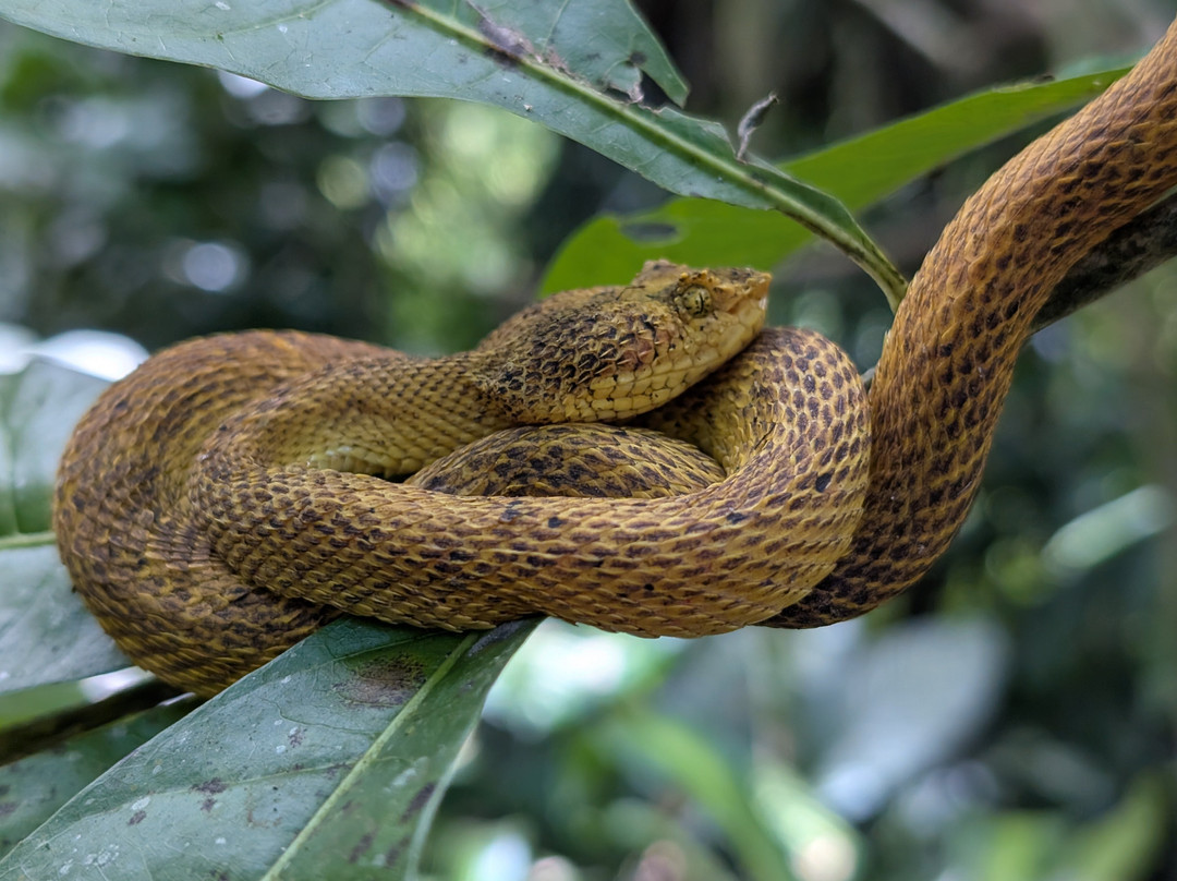 Brother's Adventures Tours-萨迪纳尔必去景点