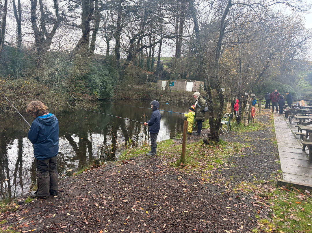 Eisteddfa Fishery-Criccieth必去景点