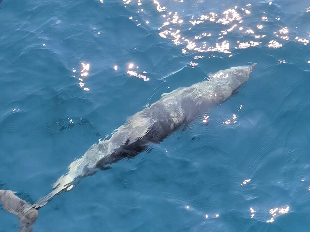 Tour Buddy-卡图纳耶克必去景点