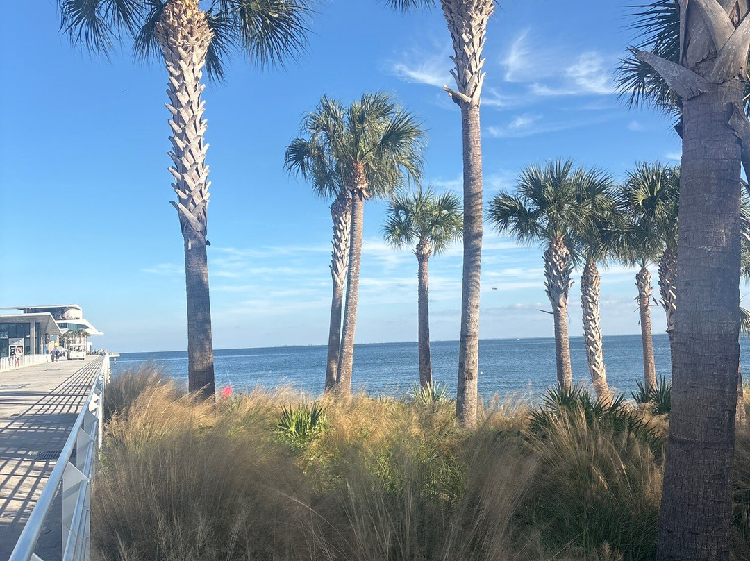 St. Pete Pier-圣彼德斯堡必去景点