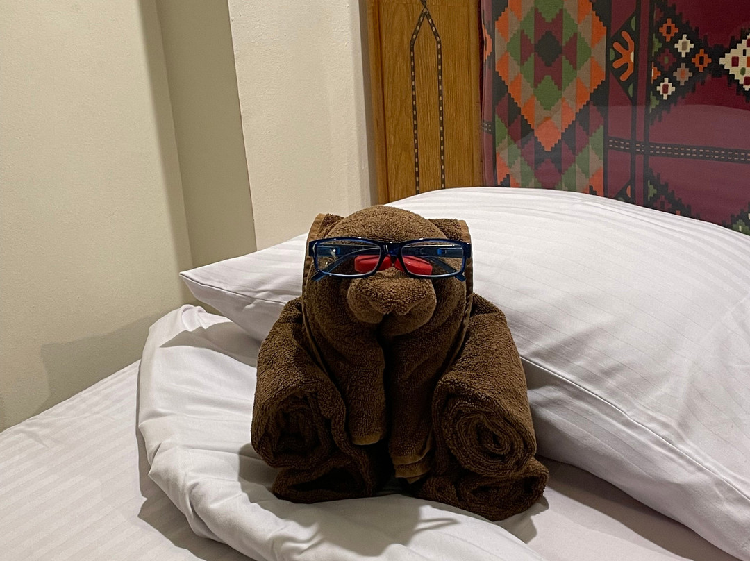 娜芙蒂蒂酒店主图