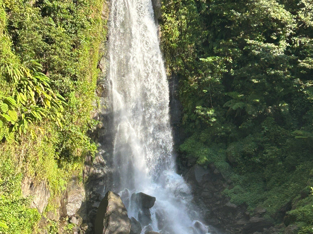 Waitukubuli Adventure Tour Co.-罗索必去景点