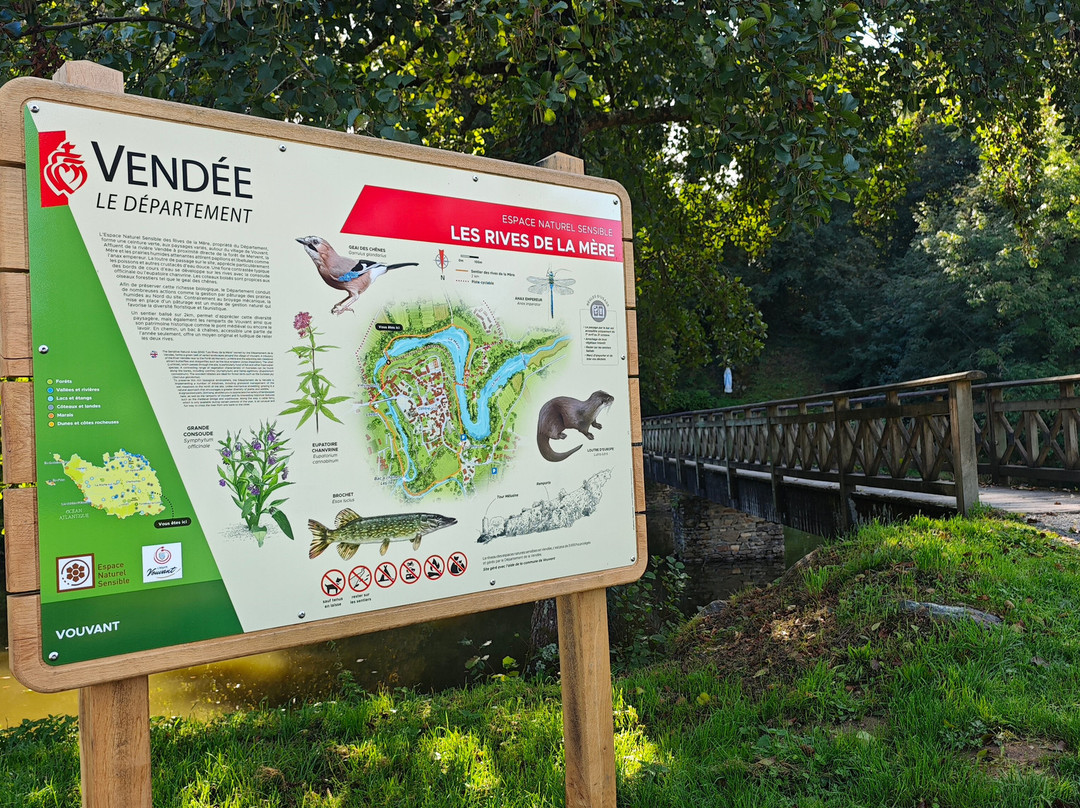 Pont médiéval et Grotte de Vouvant.-Vouvant必去景点