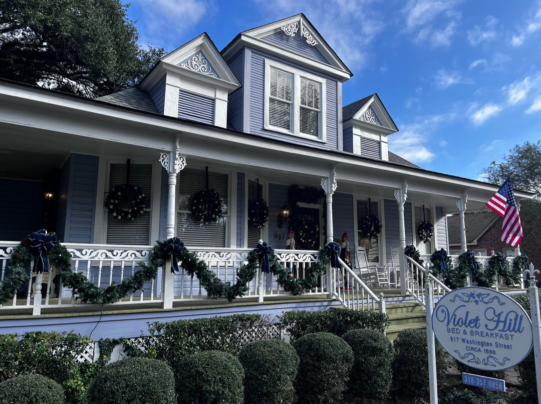 Violet Hill Bed And Breakfast主图