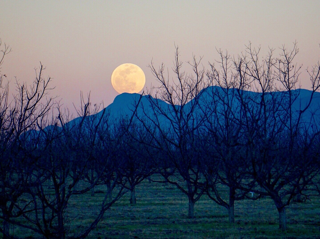 Viñedo San Juan De La Vaqueria-萨尔蒂必去景点
