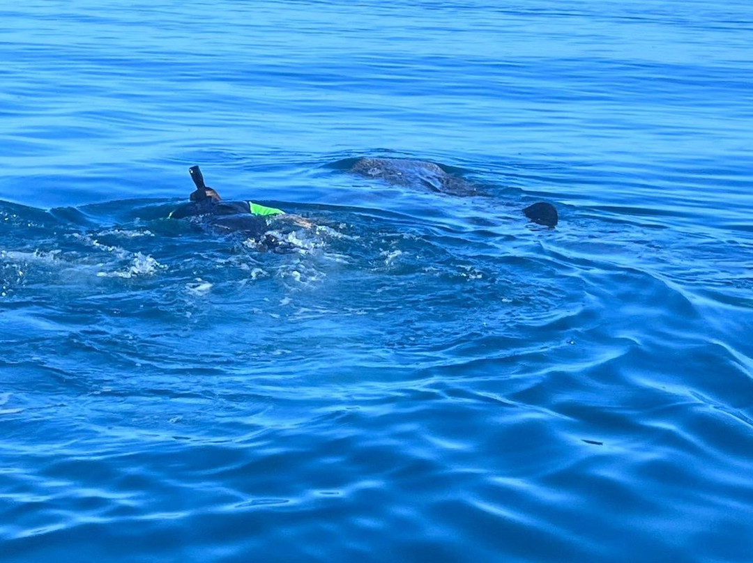 La Paz VIP Tours-拉巴斯必去景点