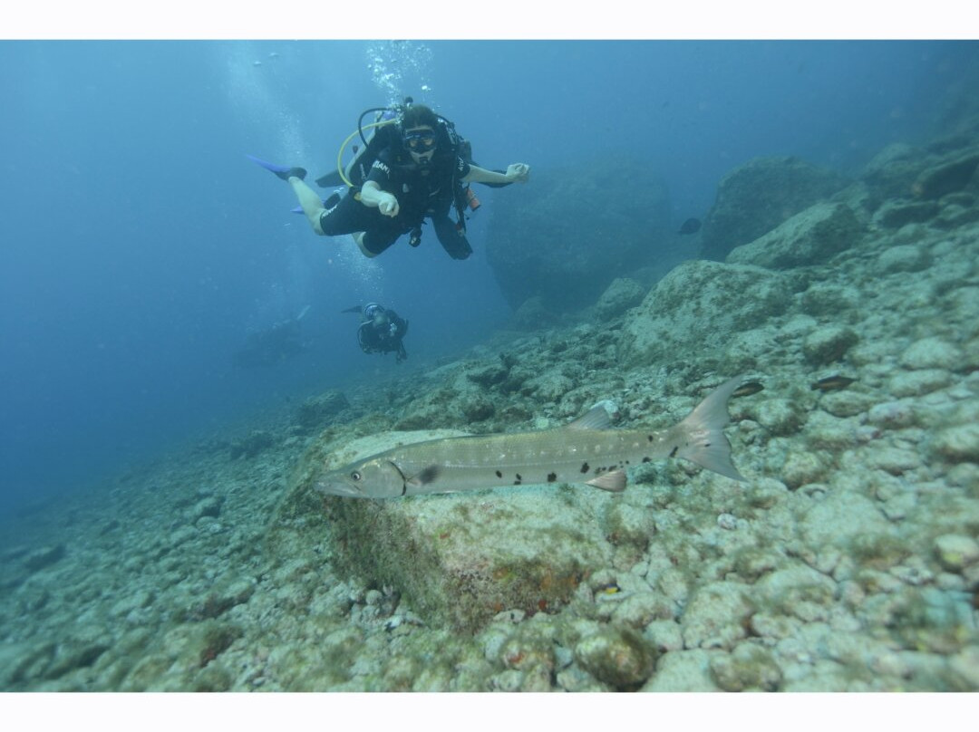 Atlantis Divers-费尔南多-迪诺罗尼亚群岛必去景点