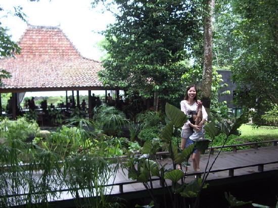 Kalyana Resort-餐饮