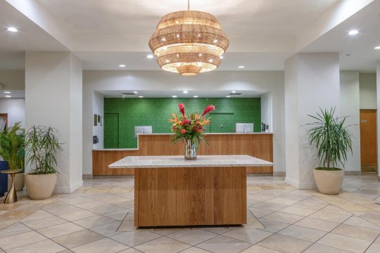 坦帕巴里摩尔酒店-浴室