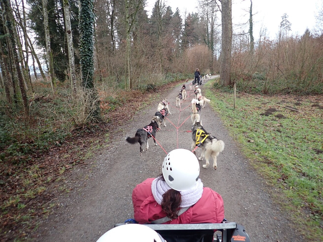 Fischer Adventures Day Tours-圣加仑必去景点