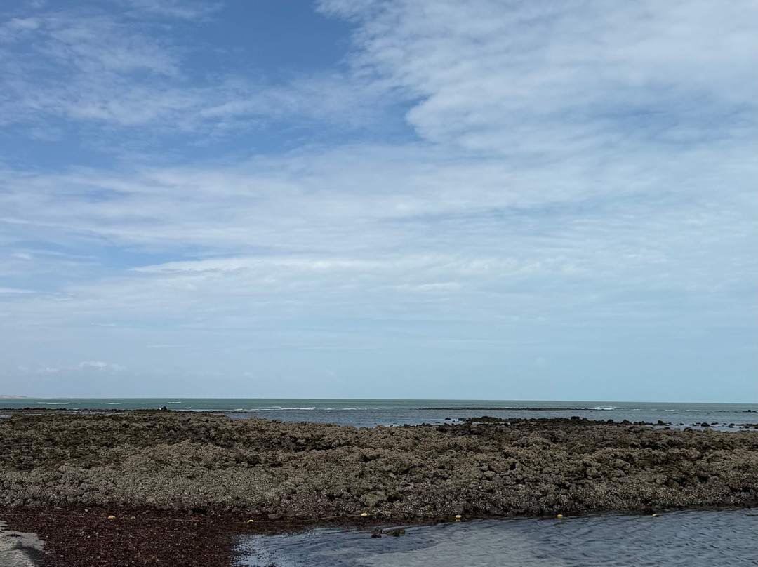 Carnaubinha Praia Resort主图