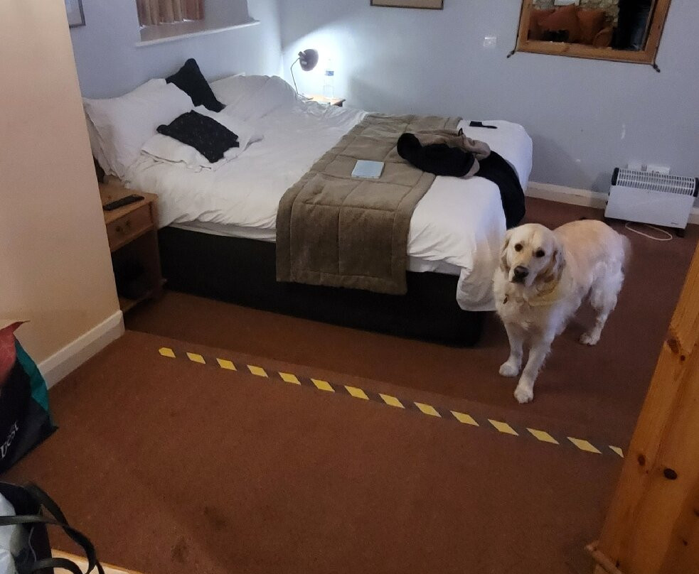 贝斯特韦斯特泽西纹章酒店主图