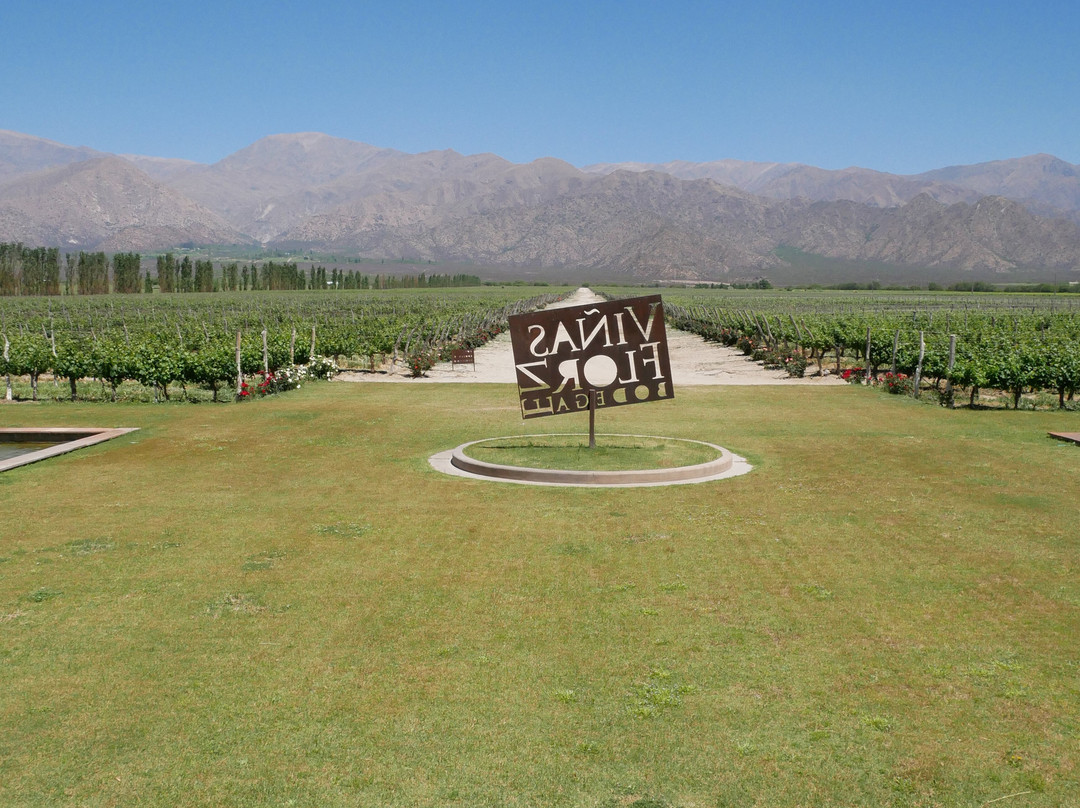 Viñas En Flor Bodega-卡法亚特必去景点
