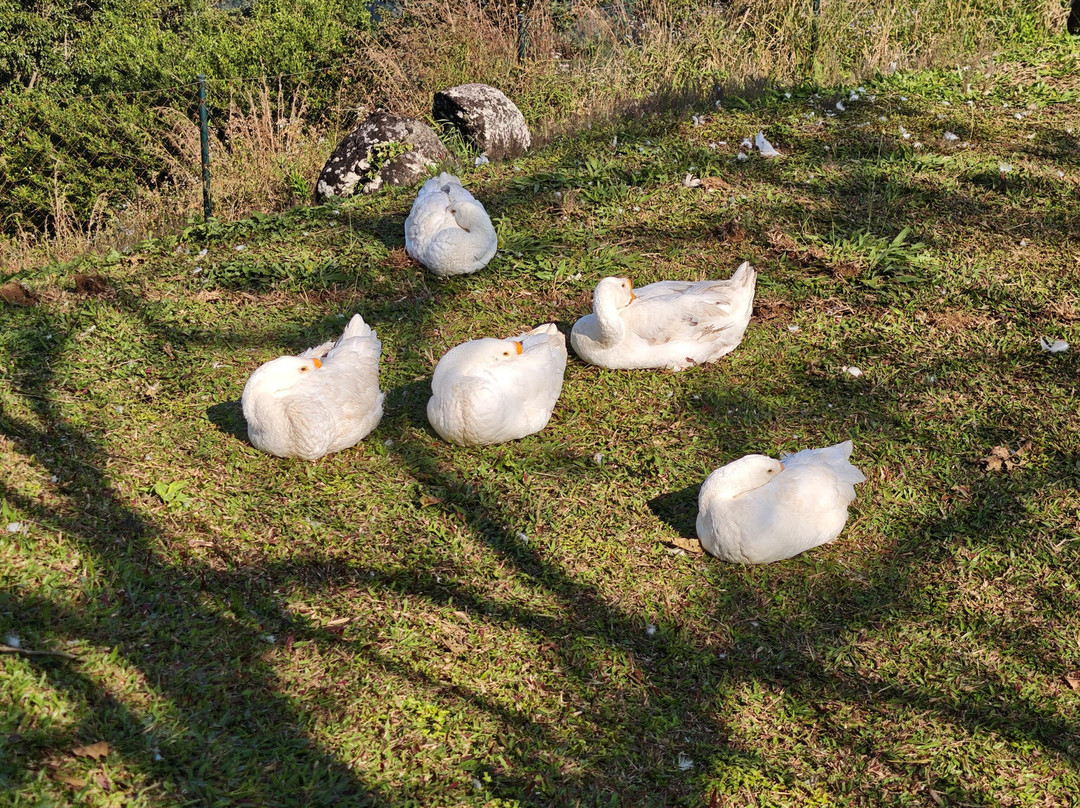 Haze And Kites Resort主图