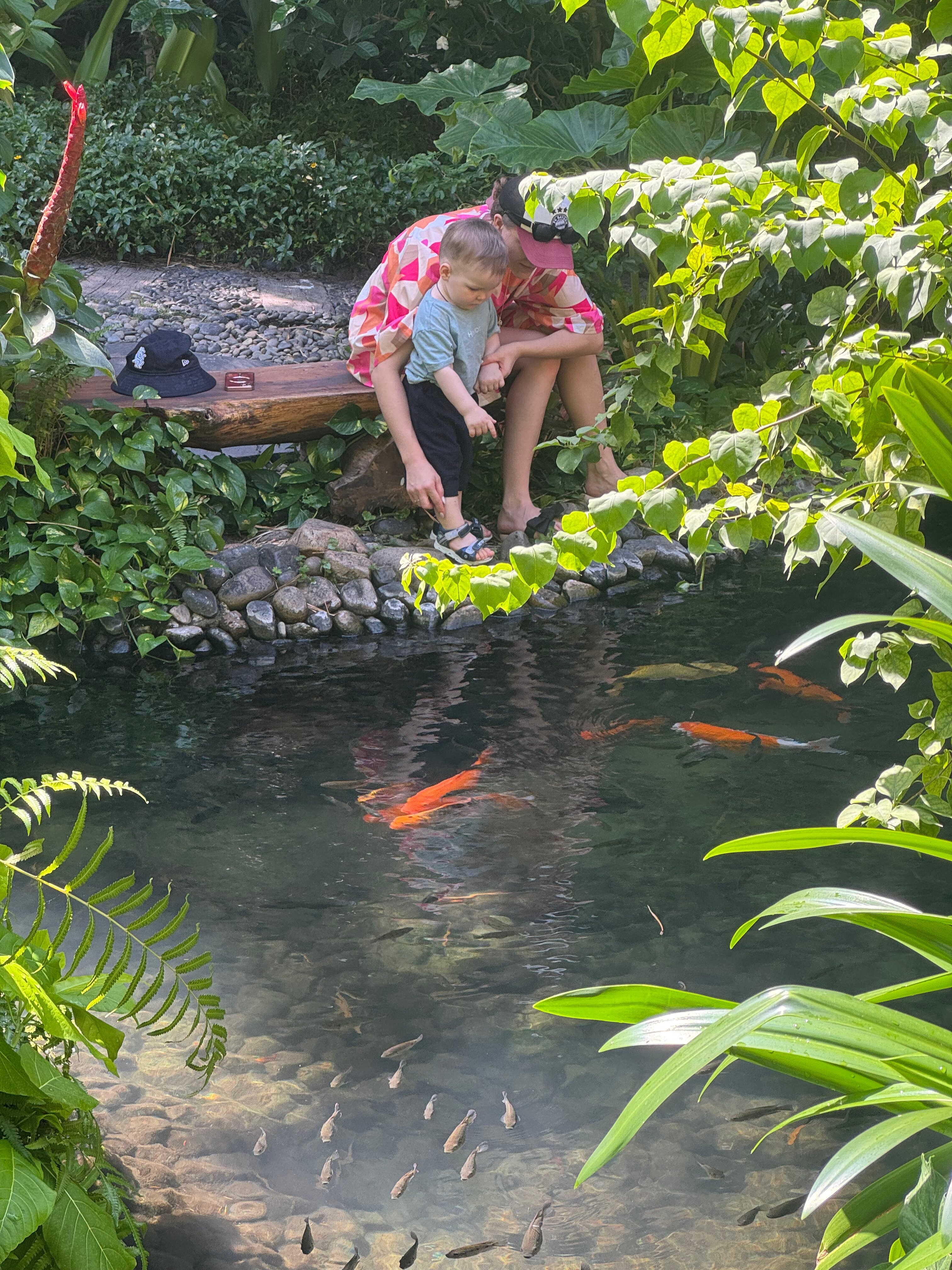 翠竹村庄海滩水疗度假酒店-官方