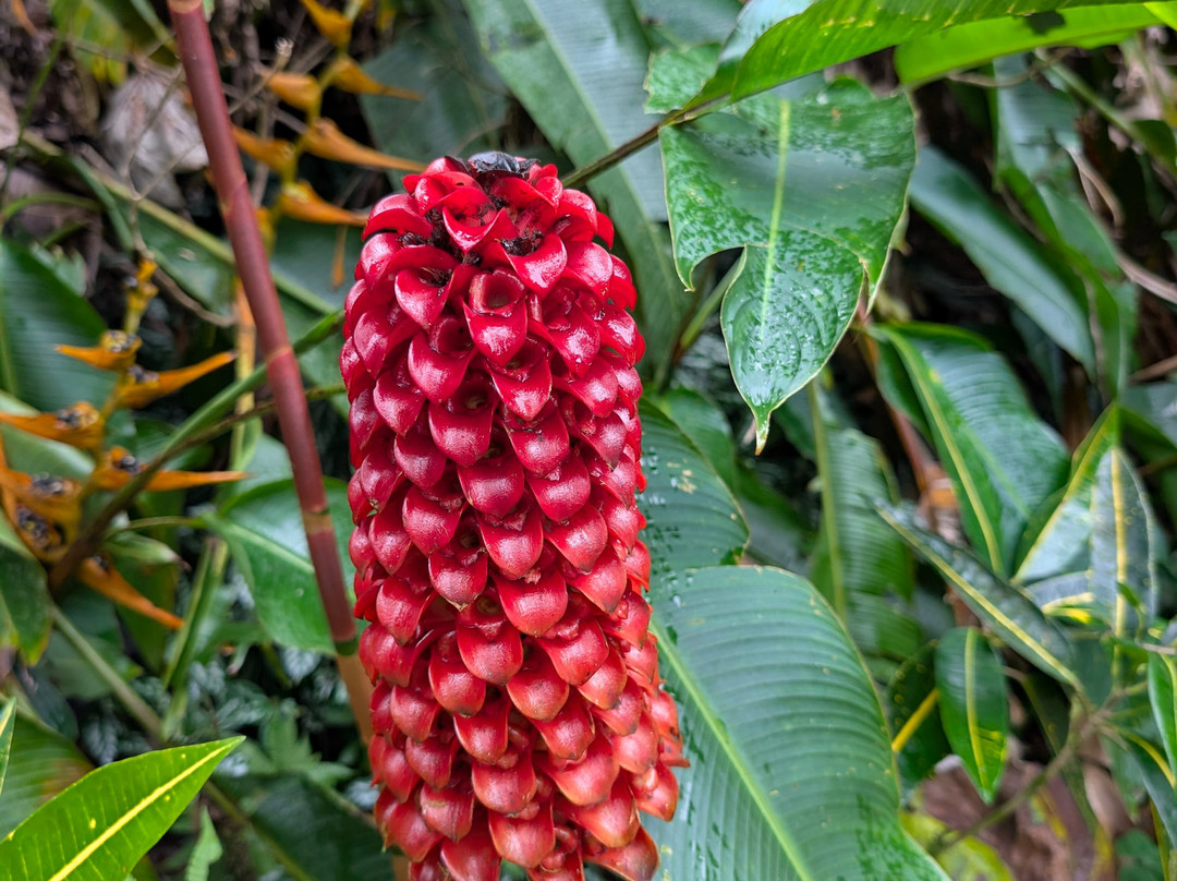 Teleferico Puerto Plata Cable Car-普拉塔港必去景点