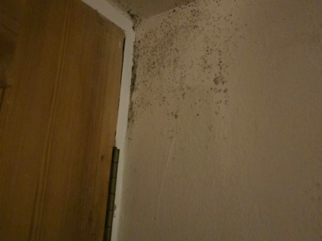 The Duke of Wellington主图