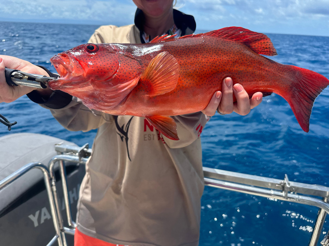 Reef Runner Charters-凯恩斯必去景点