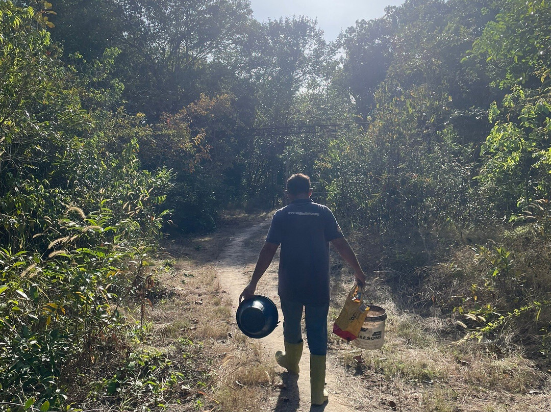 Wildlife Alliance-戈公必去景点