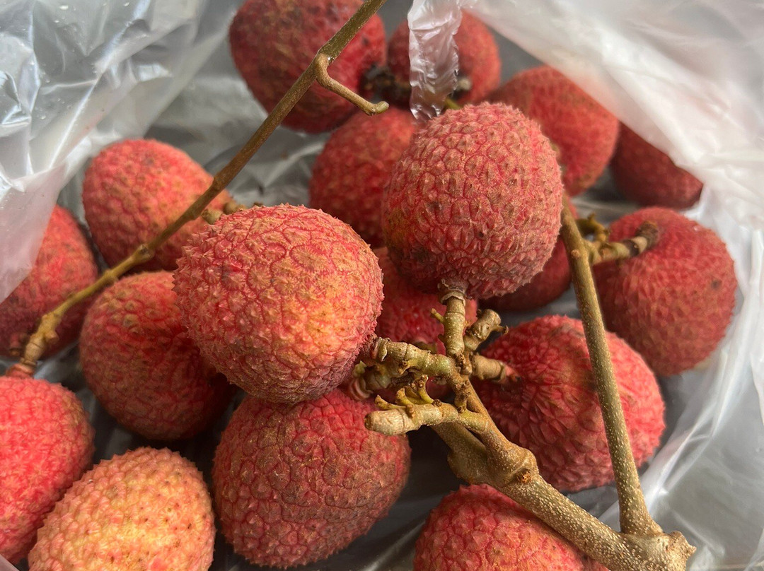 Cascavelle Shopping Mall-弗力克昂弗雷克必去景点