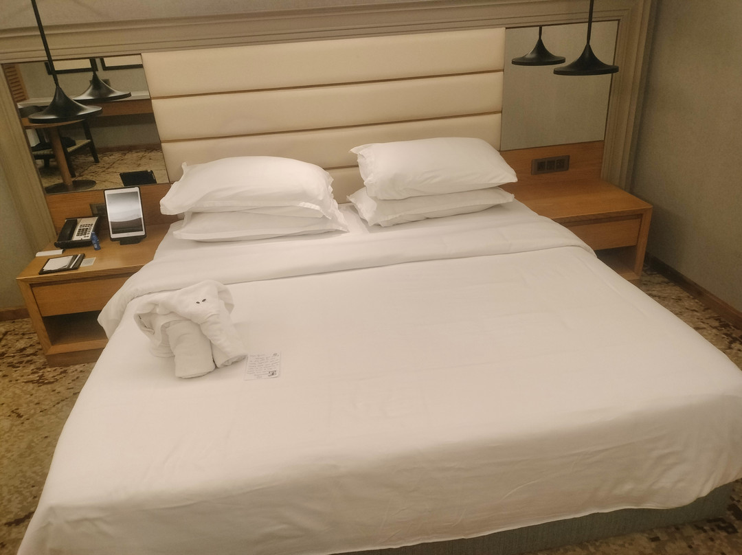 The Residency Towers Puducherry主图