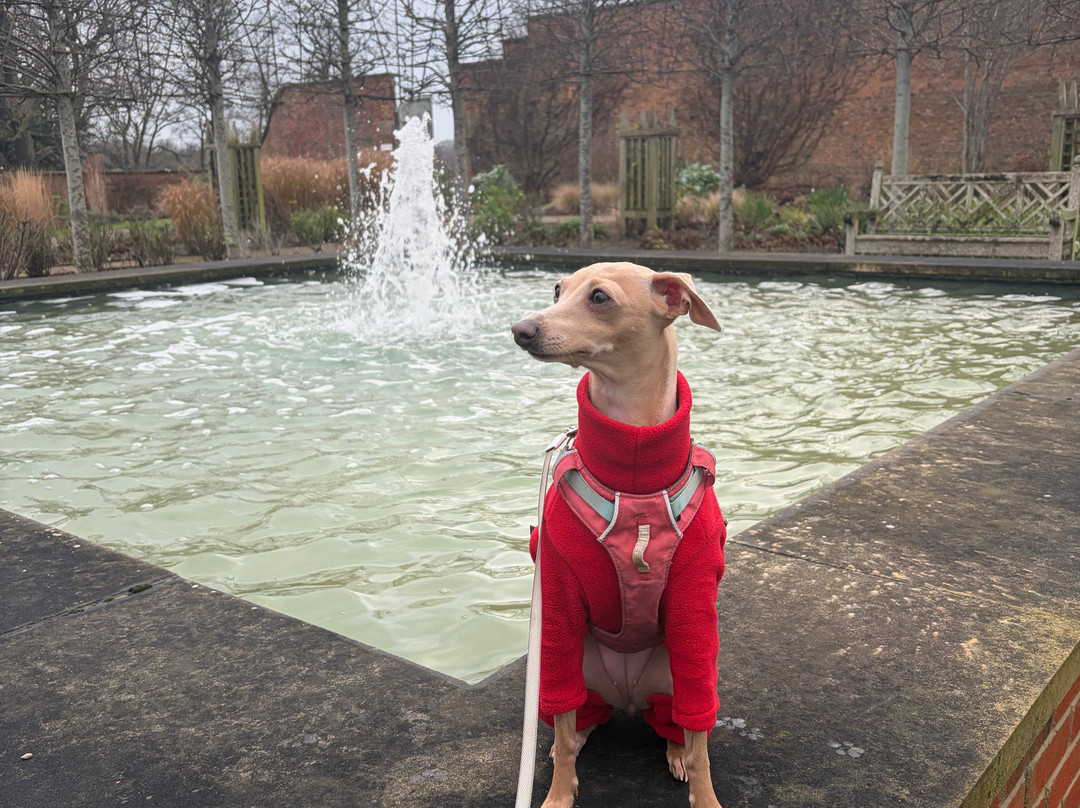 The Gardens, Wynyard Hall-Billingham必去景点