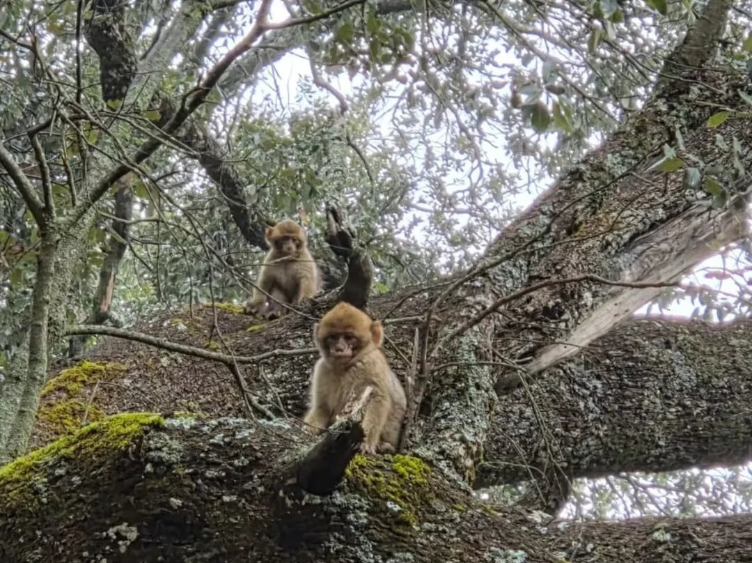 Jari Reda-Azrou必去景点