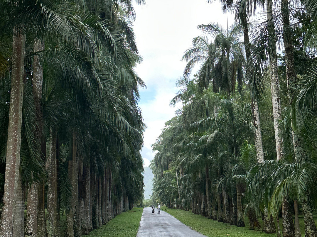 US Tours Sri Lanka-康提必去景点