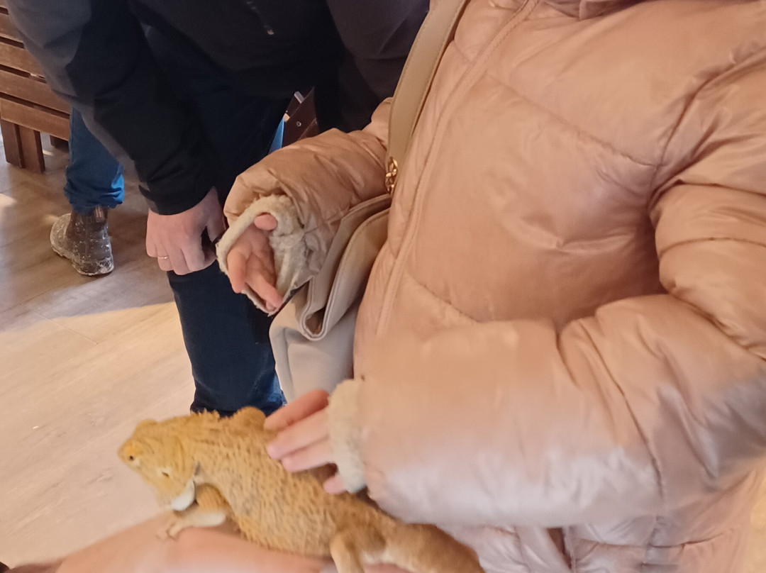 Krokodille Zoo-Eskilstrup必去景点