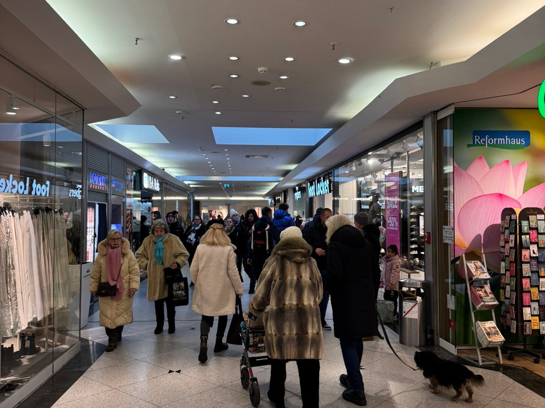 Schwanenmarkt-克雷菲尔德必去景点