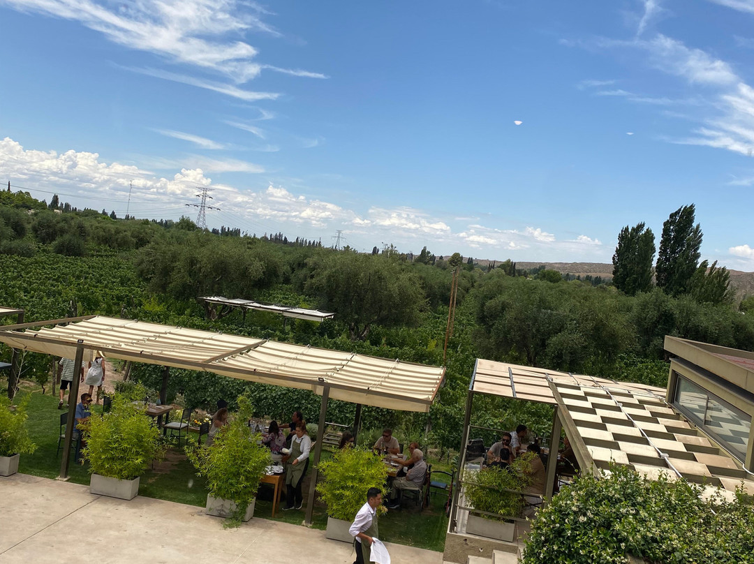 Bodega Roberto Bonfanti-路冉得库约必去景点