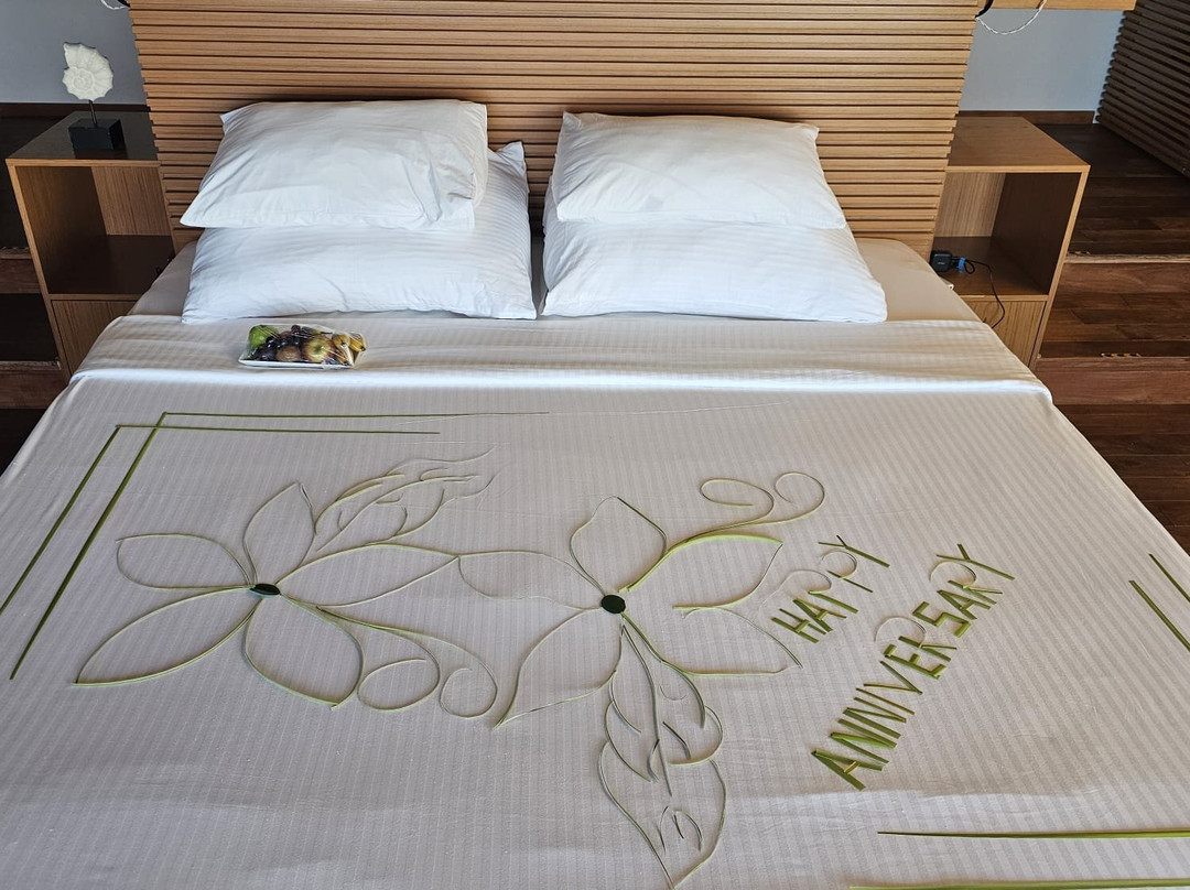 Cinnamon Velifushi Maldives主图