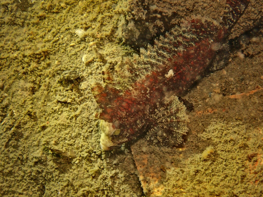 Meno Dive Club-Gili Meno必去景点