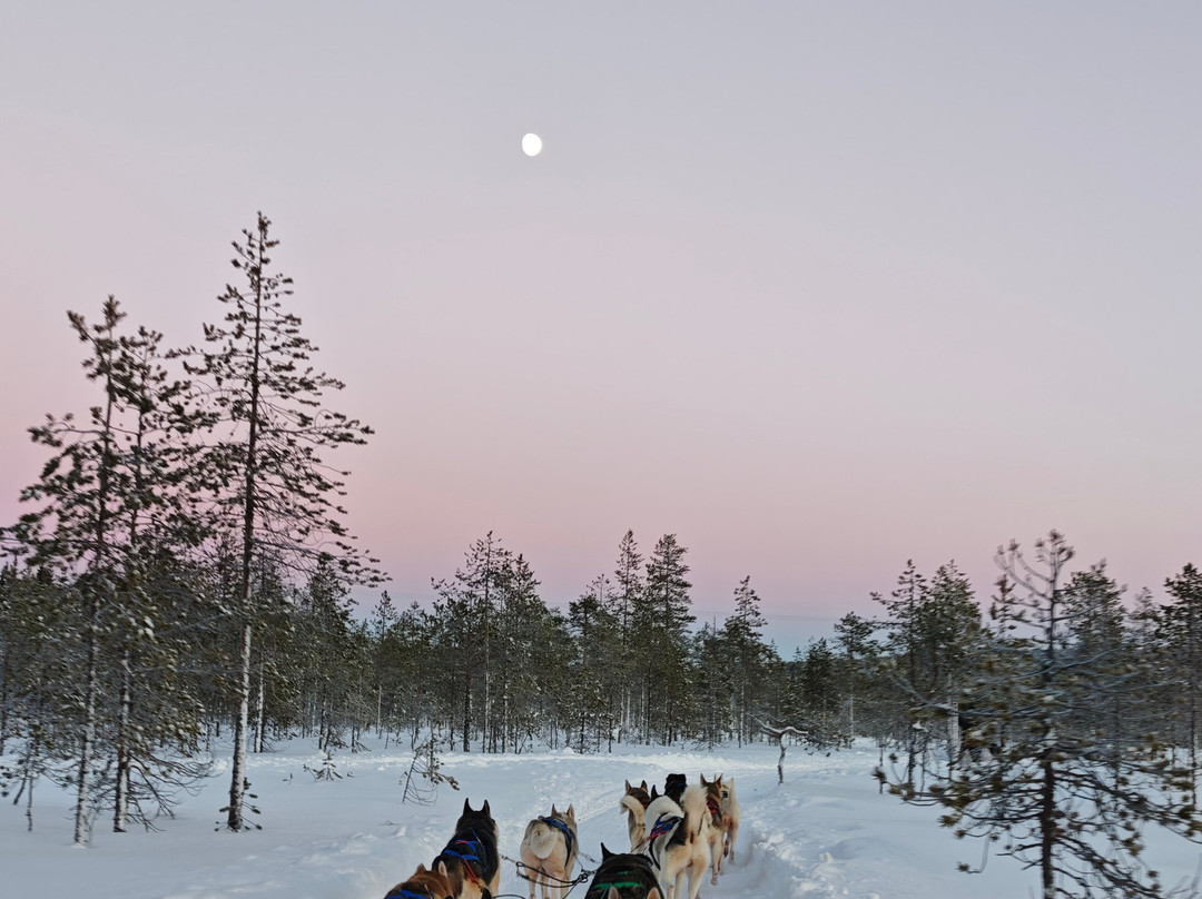 Arctic Circle Husky Park-罗瓦涅米必去景点