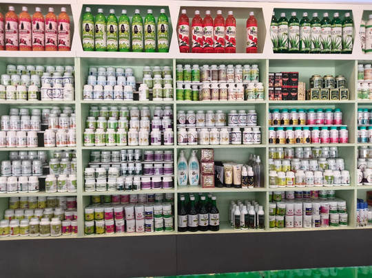 Ghumega India-新德里必去景点