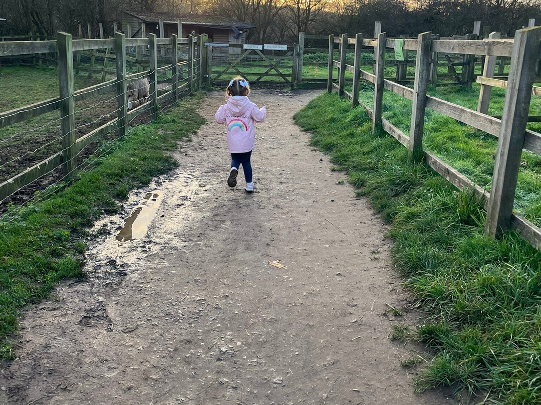 Kent Life-梅德斯通必去景点