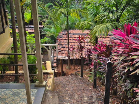 Yoga Chaitanya International Institute-Ranibagh必去景点