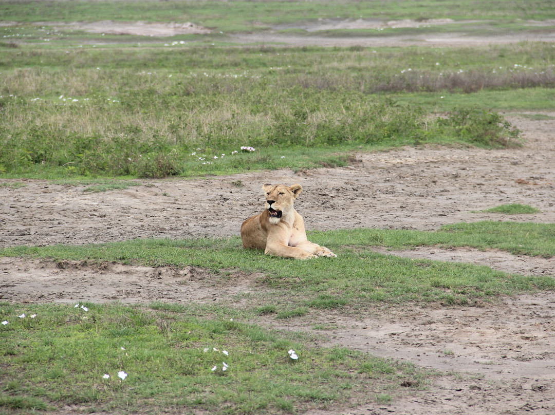 Paradise & Wilderness  | Beach & Safari Holidays-阿鲁沙必去景点