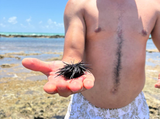 Praia Barra de São Miguel-Barra de Sao Miguel必去景点