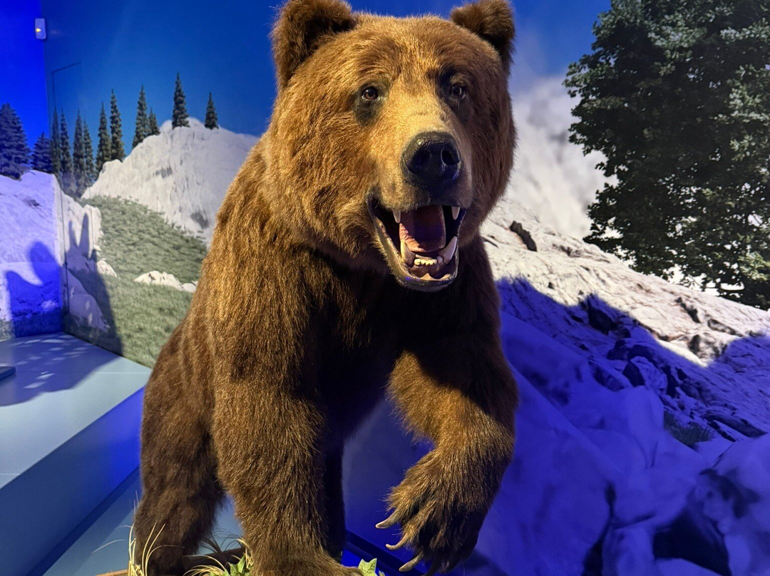 Móra Ferenc Múzeum-塞格德必去景点